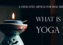 What Is Yoga? Meaning, Philosophy, History, and Benefits Explained [With Infographics]