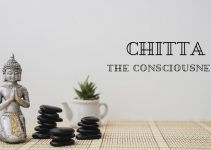 Understanding Citta (Chitta) and Its Meaning: The 5 Chitta Bhūmis in the Yoga Sutras