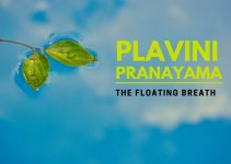 Plavini Pranayama: Steps, Benefits and Precautions Plavini Pranayama: Steps, Benefits and Precautions