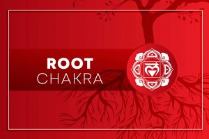 What is Root chakra? Symbol, Location, and Its Signs of Balanced & Imbalanced