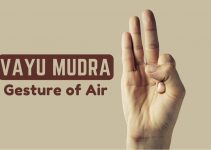 Vayu Mudra (Air Gesture): Steps, Benefits, Best Time & Precautions Vayu Mudra (Air Gesture): Steps, Benefits, Best Time & Precautions