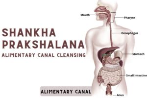 Shankha Prakshalana Kriya: Meaning, Steps, Benefits, and Precautions