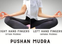 Pushan Mudra (Digestion Gesture): Meaning, How to Do & Benefits