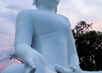 Varada Mudra (Boon Dispenser Gesture): Meaning, How to Do & Benefits