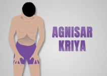 Agnisar Kriya: Meaning, How to Do It, Benefits, and Internal Effects