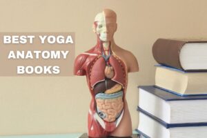 7 Best Yoga Anatomy Books for Beginners, Students, and Teachers