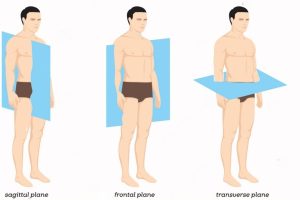 The Three Anatomical Body Planes and Movements – Sagittal, Coronal,& Transverse The Three Anatomical Body Planes and Movements – Sagittal, Coronal,& Transverse